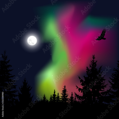 Silhouette of coniferous trees on the background of colorful sky. Flying eagle. Night. Green and pink northern lights.