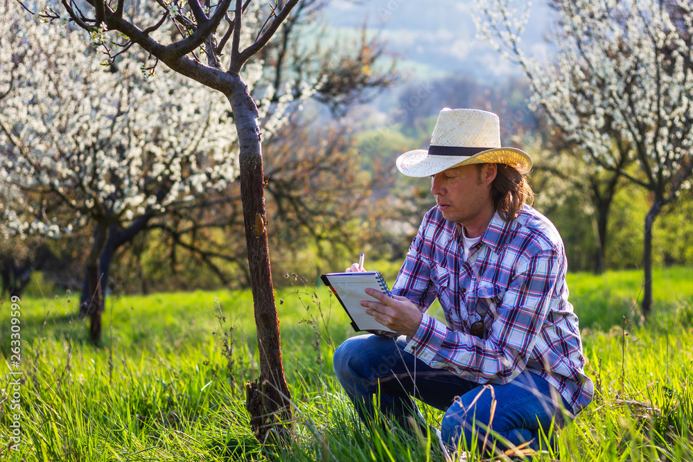 Farmer checking fruit tree in orchard and writing results to notepad. Agriculture concept