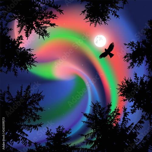 Silhouette of coniferous trees on the background of colorful sky. Flying eagle. Northern lights. View from below.