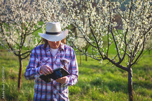 Farmer using digital tablet while inspecting blooming fruit trees in orchard © encierro