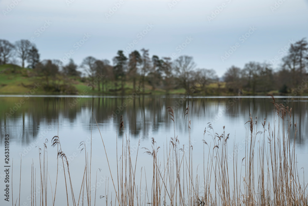 Mody landscape image of Loughrigg Tarn in UK Lake District during dramatic evening in Spring