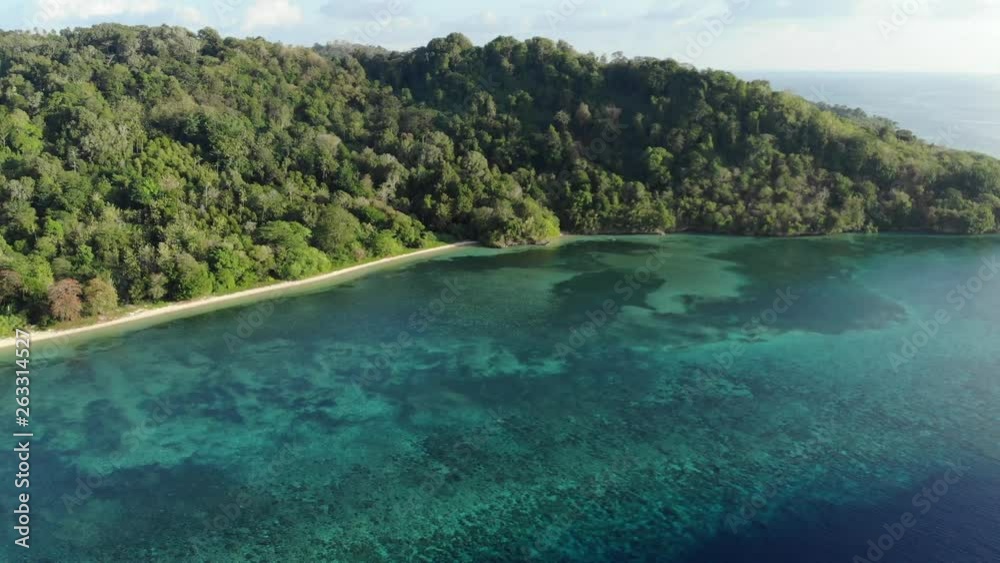 Aerial: flying over tropical Hatta island white sand beach Banda Islands Maluku Indonesia lush green forest turquoise water coral reef scenic travel destination. Native cinelike D-log color profile