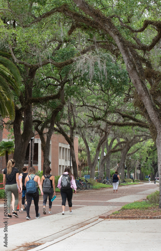 Students at the University of Florida walk through campus on a hot afternoon. Students at the University of Florida walk through campus on a hot afternoon.