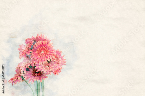 red gerbera on white background