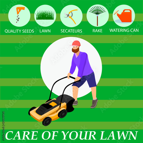 Infographics Written Care of the Lawn Cartoon.
