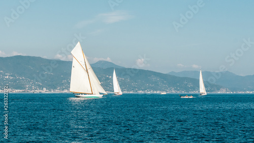 Three sailboats in a sea