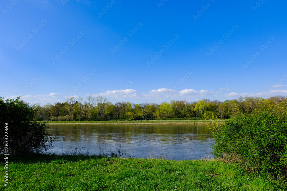Obraz premium River elbe with blue sky trees and grass
