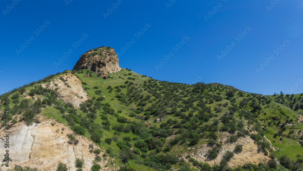 Rock Butte on Grass Hillside