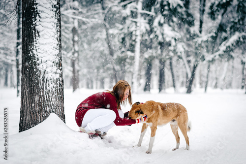 Fototapeta Naklejka Na Ścianę i Meble -  beautiful girl dressed in a maroon sweater and white pants sat down next to red dog against a backdrop of snow-covered tree trunks