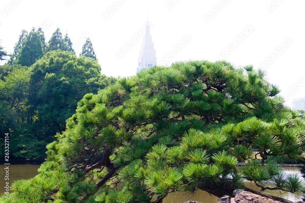 landscape with tree