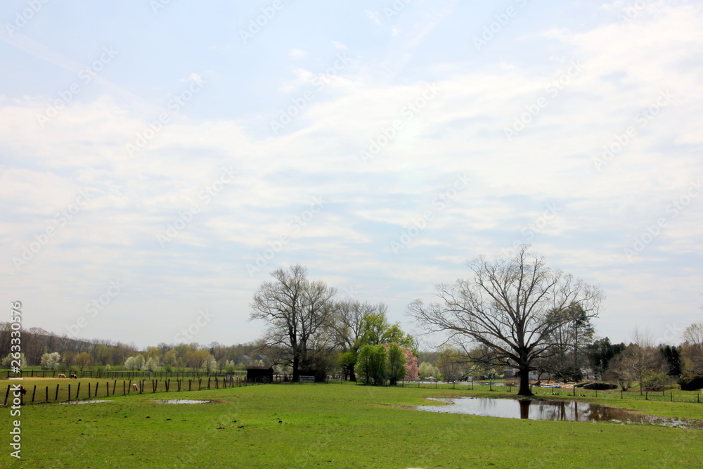 In the park on this spring afternoon.