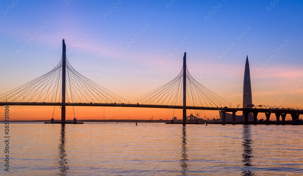 Saint-Petersburg western highway brige