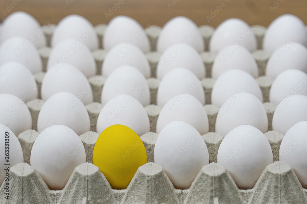 One yellow egg among white eggs in a carton egg box. Side view. One yellow egg among white eggs in a carton egg box. Side view.