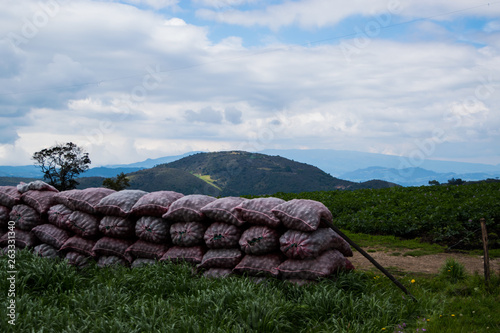 landscape - farming 