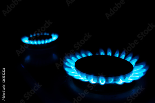 gas burning in domestic stove, natural resource concept dark