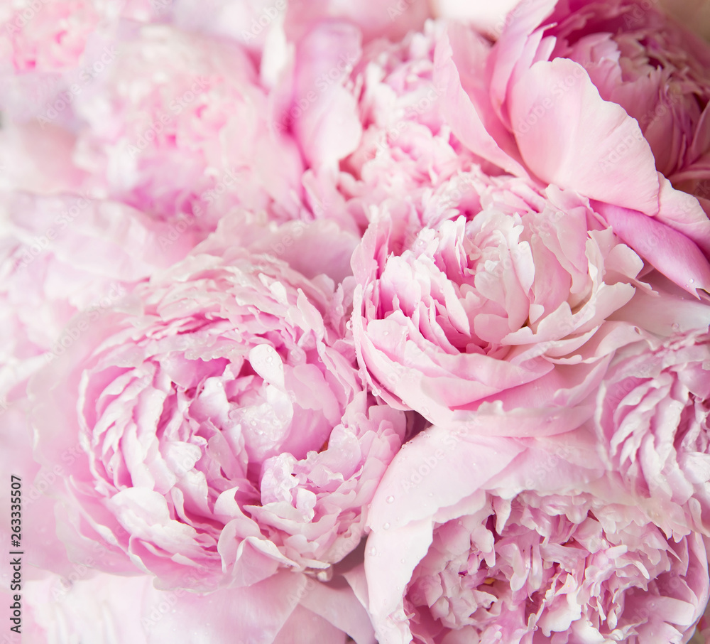 Fototapeta Pink peonies blossom background. Flowers