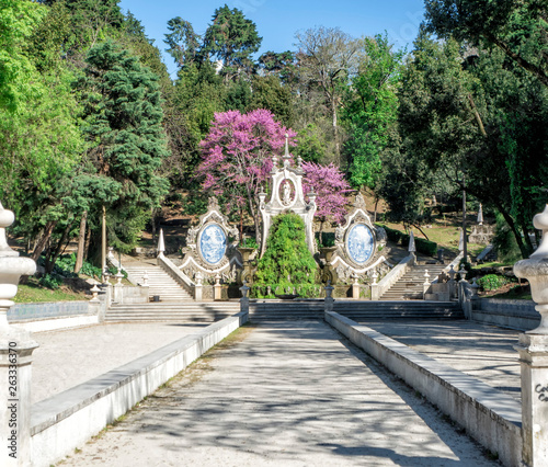 Coimbra city gardens - Portugal