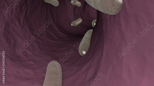 3D animation of parasitic worms in an intestines of human or animal.