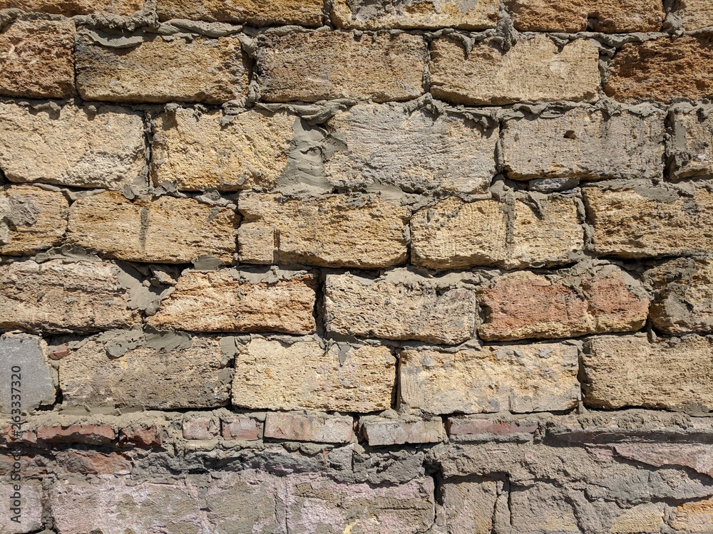 Fototapeta premium old shellfish brick wall texture