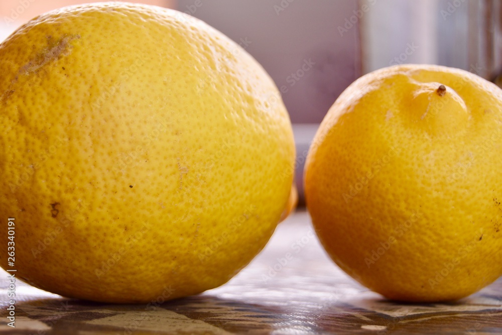 kiss a lemon kiss a lemon