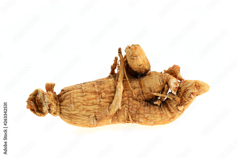Ginseng on a white background Ginseng on a white background