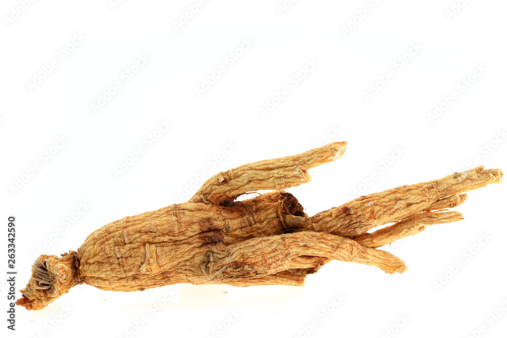 Ginseng on a white background Ginseng on a white background