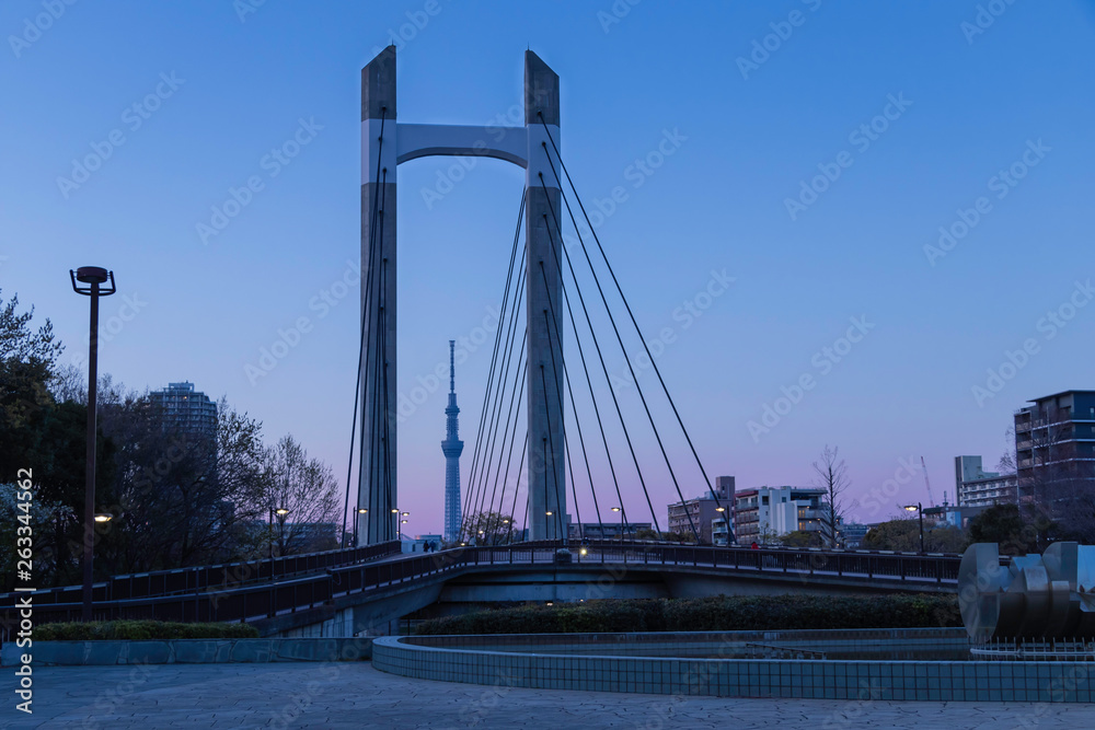 Fototapeta premium 木場公園の夕暮れ