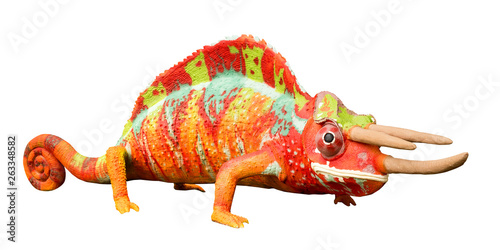 lizard iguana toy on white background