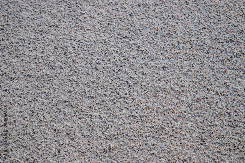 The sand on the seashore has crab bubbles and shells The sand on the seashore has crab bubbles and shells