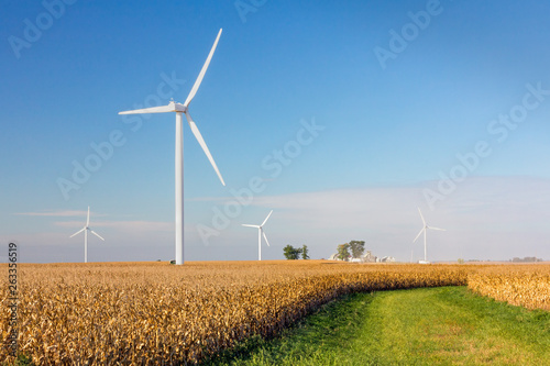 Large windmills or wind turbines spin to generate energy over a cornfield in the American Midwest on a sunny day with blue sky