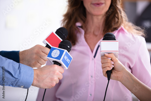 Reporter Conducting Interview Of Businesswoman