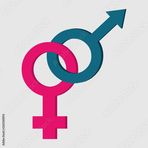 male and female gender symbol vector illustration