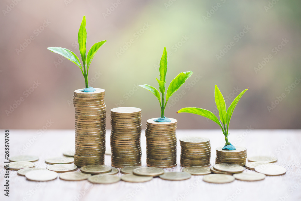Plant growing in Coins glass jar for money saving and investment financial, concept for business, innovation, growth and money . Plant growing in Coins glass jar for money saving and investment financial, concept for business, innovation, growth and money .