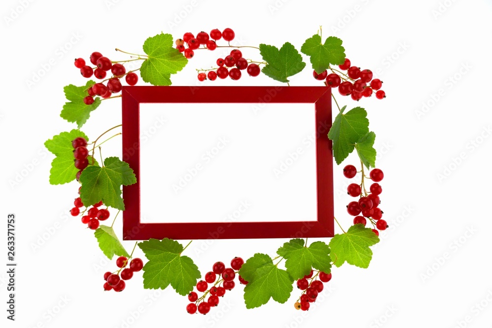 red currant berry.Berry frame. red currant and Red frame isolated on white background.Berry strawberry season.top view, copy space.Summer berries red currant berry.Berry frame. red currant and Red frame isolated on white background.Berry strawberry season.top view, copy space.Summer berries