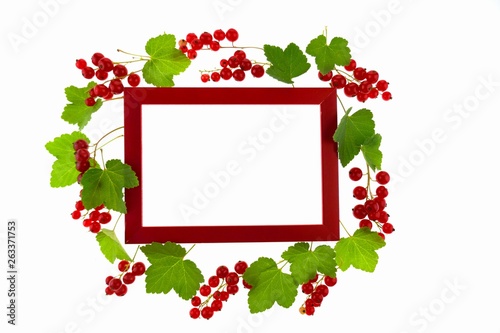 red currant berry.Berry frame. red currant and Red frame isolated on white background.Berry strawberry season.top view, copy space.Summer berries