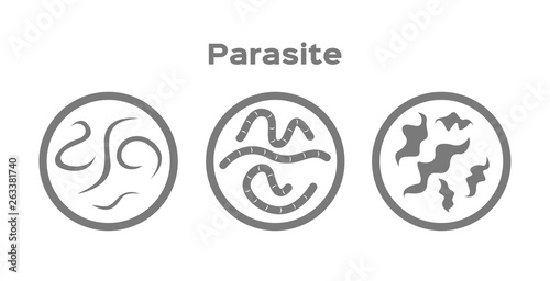 parasite in human icon