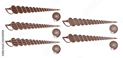 Set of monochrome seashells on an isolated white background.