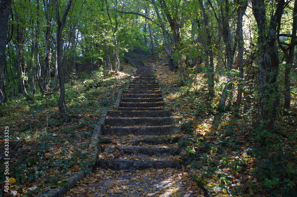 Obraz premium Stairs in forest, Veliki Preslav, Bulgaria