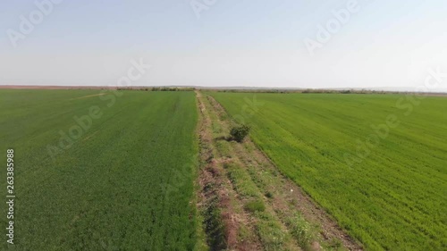 Drone 4k video of green field in nature on windy day