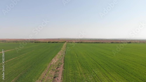 Drone 4k video of green field in nature on windy day