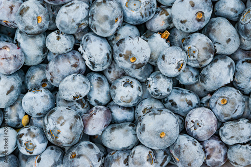 Background of ripe blue blueberry berries close-up
