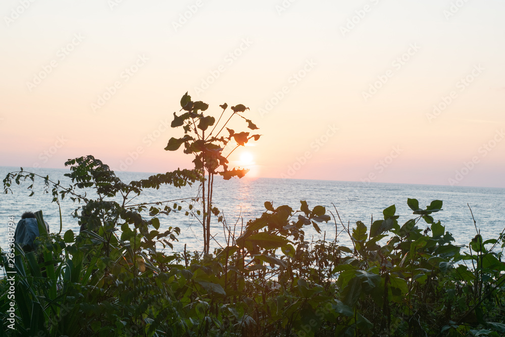 The picture of the tree branches in front of the sunset background