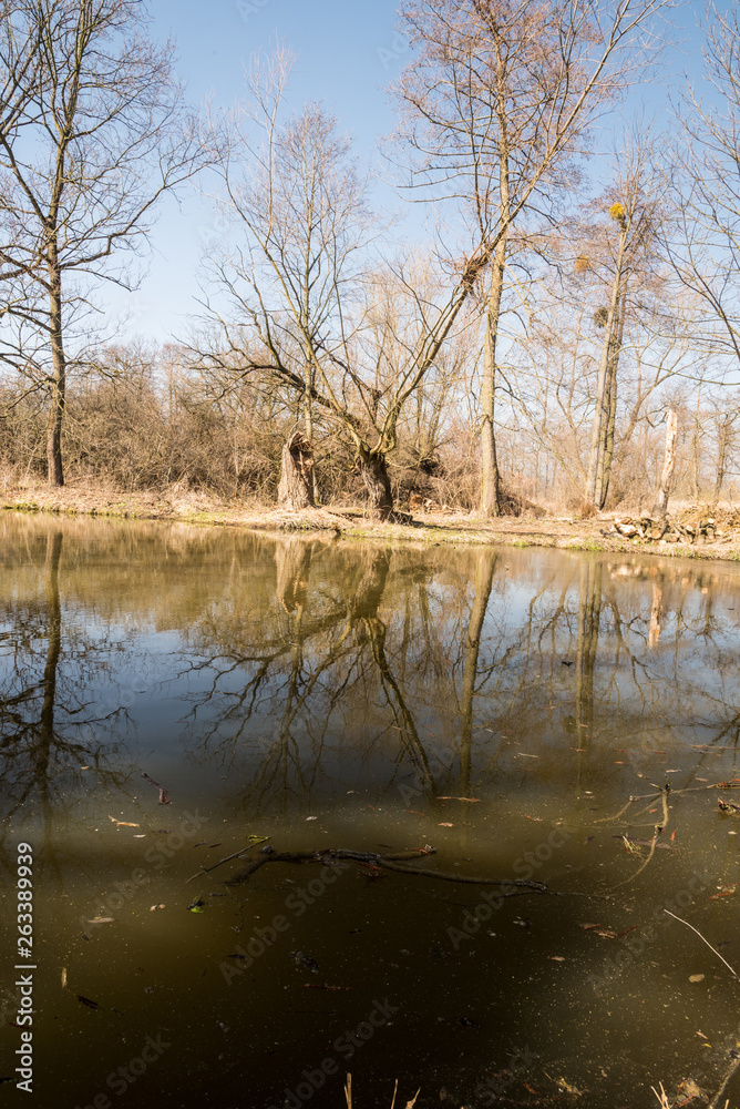 Slanaky river lake in spring CHKO Poodri in Czech republic Slanaky river lake in spring CHKO Poodri in Czech republic