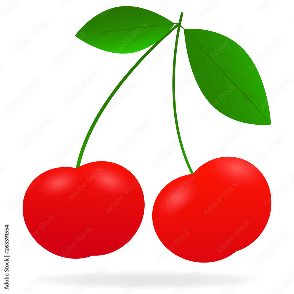 Vector drawing of realistic, bright, juicy berries cherry with highlight and shadow on white background. Vector drawing of realistic, bright, juicy berries cherry with highlight and shadow on white background.