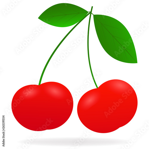 Vector drawing of realistic  bright  juicy berries cherry with highlight and shadow on white background.