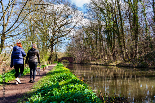 Walking dogs  on Chesterfield canal