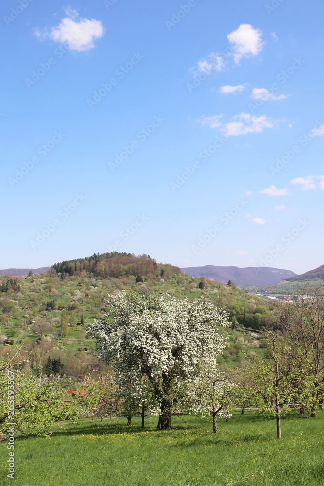 Naklejka premium Landschaft rund um die Outlet City Metzingen