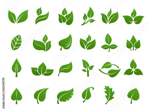 Green leaves logo. Plant nature eco garden stylized icon vector botanical collection. Green leaf and eco botanic label illustration