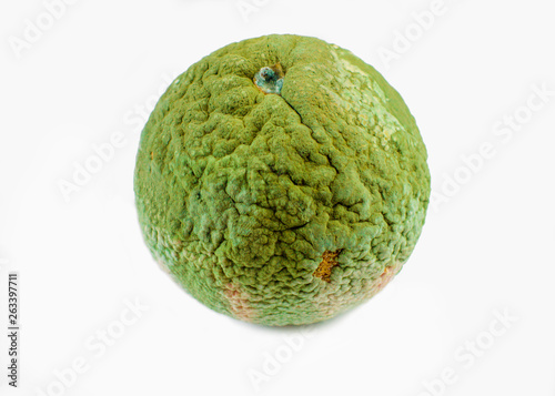 Spoiled fruit - mandarin. Tangerine with green mold. Isolated on white background.