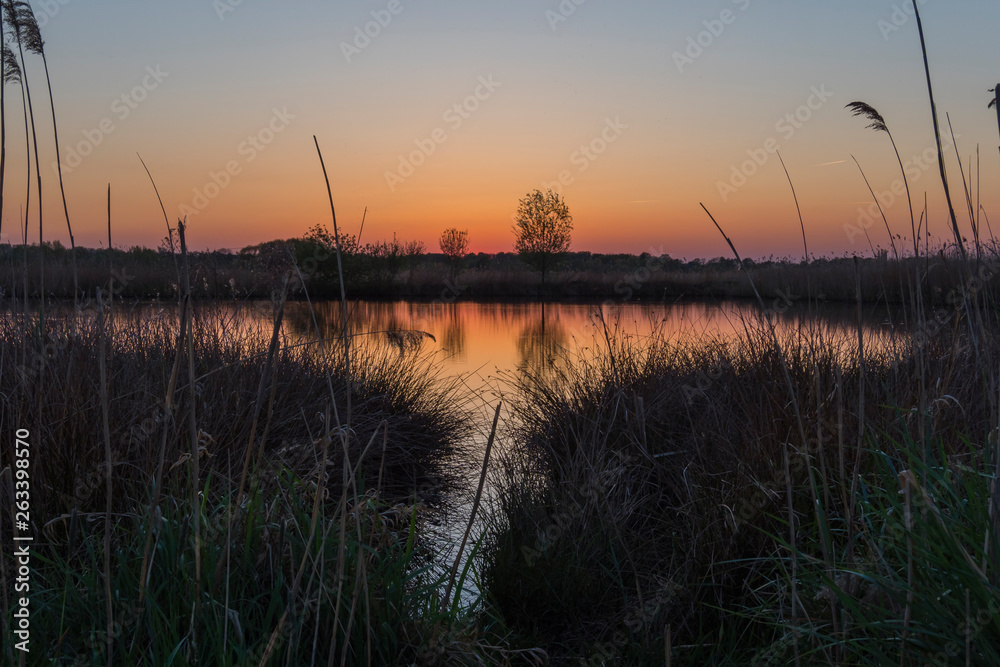 Rieselfelder sunset light sunny day nature Rieselfelder sunset light sunny day nature
